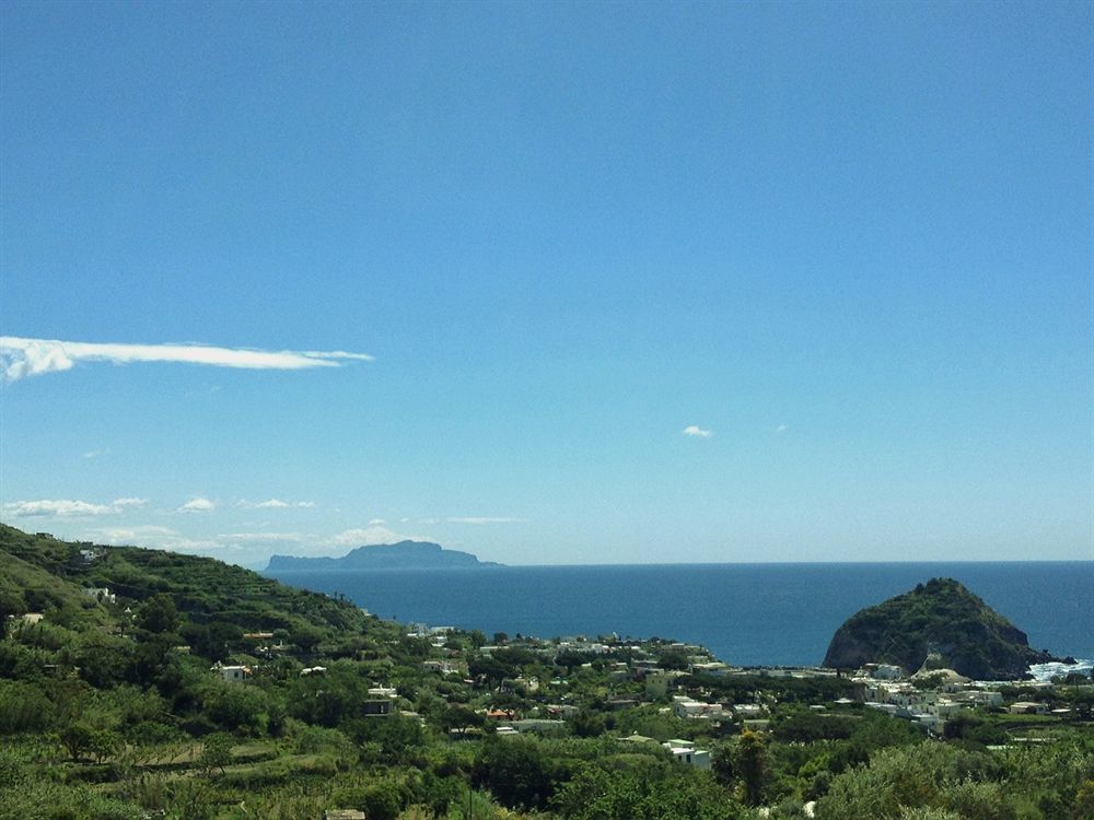 Hotel Maremonti Forio (Isola d'Ischia)